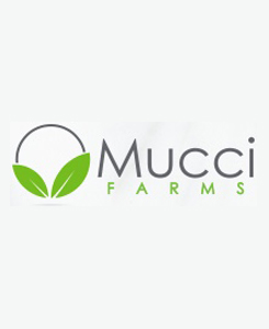 logo-4.jpg