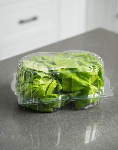 lettuce-left.jpg